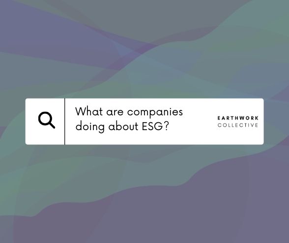 What are Companies Doing About ESG?