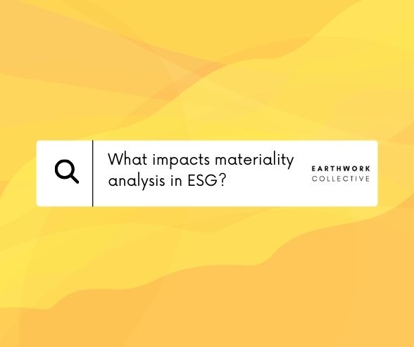 What Impacts the Materiality Analysis?