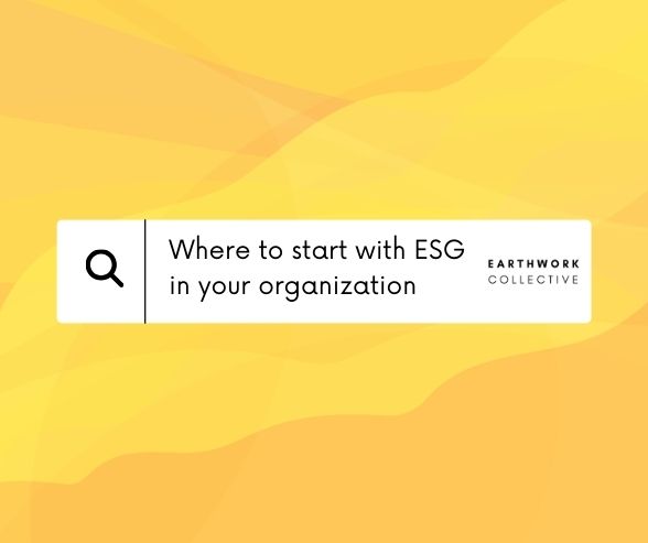 Where to Start With ESG in Your Organisation