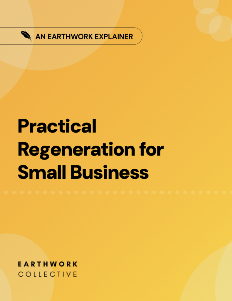 regenerative business explainer